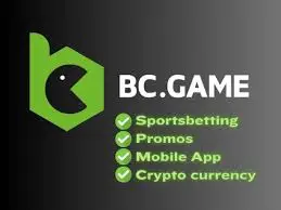BC.GAME آن لائن کیسینو پاکستان میں آن لائن گیمنگ کا مستقبل